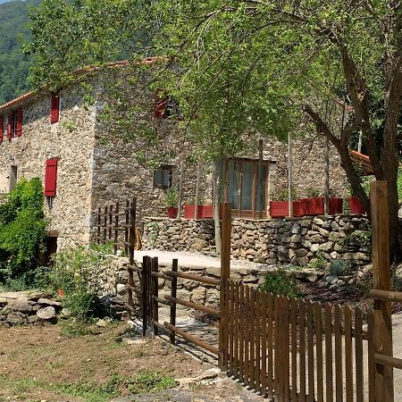 Apartament Mas Graffouil Prats-de-Mollo-la-Preste Zewnętrze zdjęcie