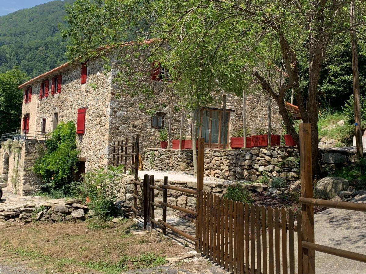 Apartament Mas Graffouil Prats-de-Mollo-la-Preste Zewnętrze zdjęcie