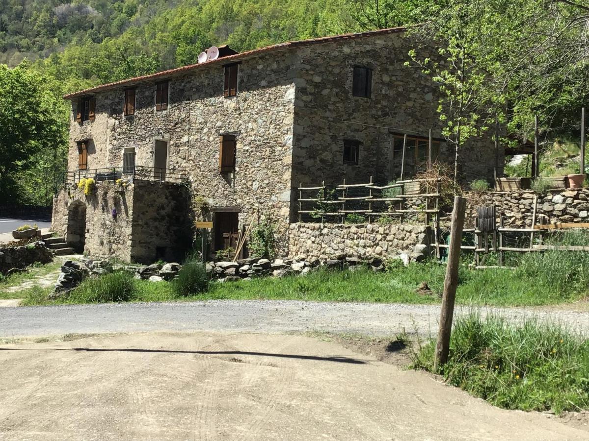 Apartament Mas Graffouil Prats-de-Mollo-la-Preste Zewnętrze zdjęcie