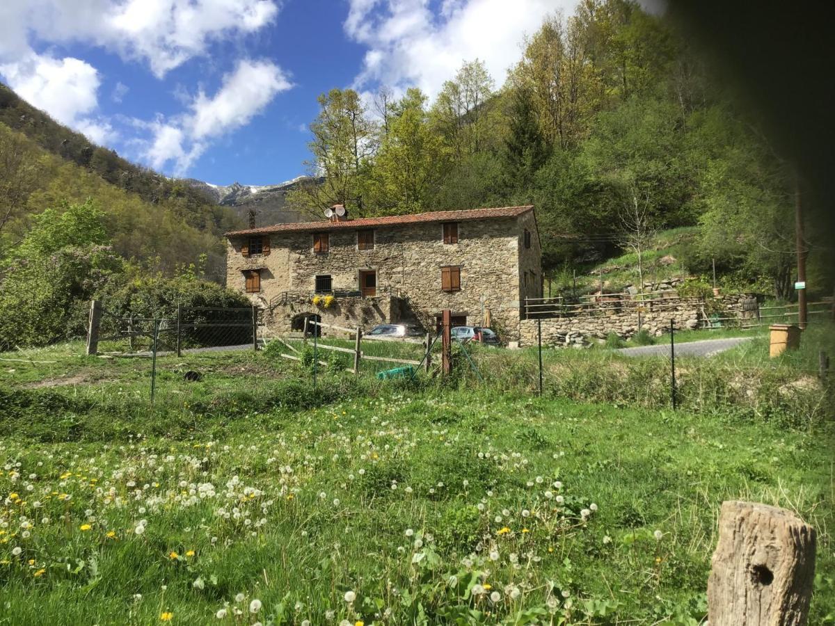 Apartament Mas Graffouil Prats-de-Mollo-la-Preste Zewnętrze zdjęcie